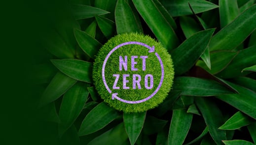 net-zero